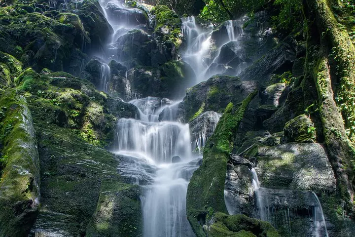 Maui: Road to Hana Adventure with Farm to Table Lunch