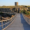Image 1: La Perouse Bare Island Fort Guided Walking Tour