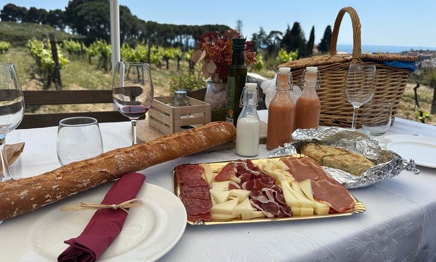 Image 14: Gaudí Unveiled & Premium Wine Escape - Tour Privado