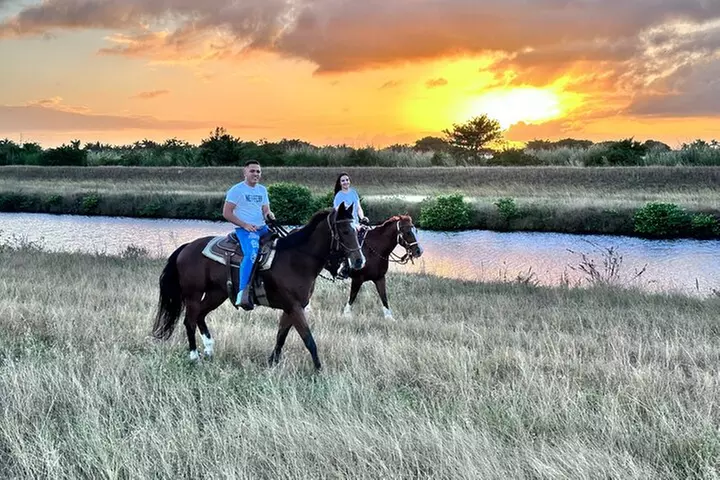 Horseback Riding in Miami