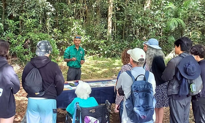 Image 3: Cairns: Aboriginal Cultural Tour Atherton Tablelands