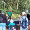 Image 3: Cairns: Aboriginal Cultural Tour Atherton Tablelands