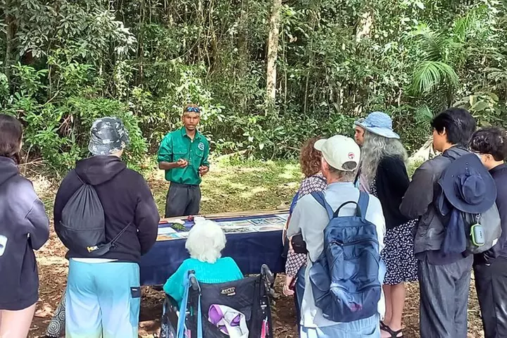 Half-Day Aboriginal Tour Atherton Tablelands - Primary Image