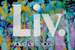 Wynwood Art Walk Self-Guided Tour of Murals & Creativity - Second Medium