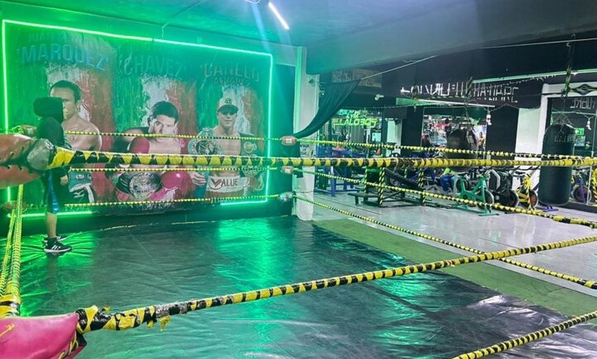 Image 4: Friday of Wrestling From Gym to Ring
