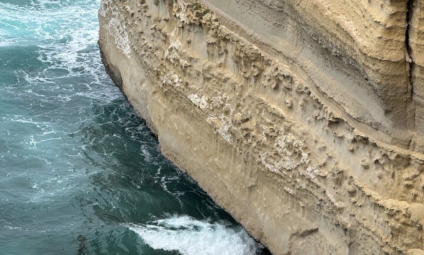 Image 4: Great Ocean Road 12 apostles PRIVATE Luxury Tour 5 PAX all incl.