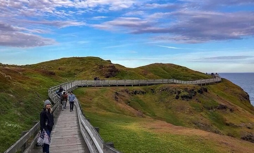 Image 2: Private Melbourne Tour: Phillip Island and Chocolate Factory