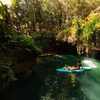 Image 2: Small Group 3 Waterfall Cenotes Experience