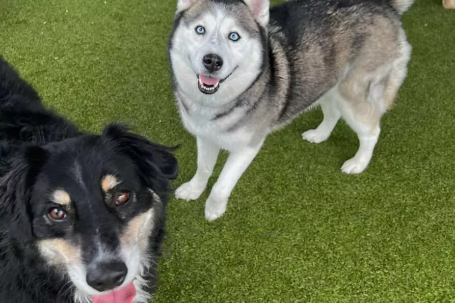 $35 For 2 Days- All Day Group Play (Reg. $70)