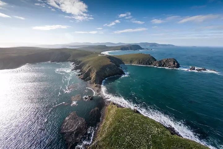 Bruny Island Food, Sightseeing, Guided Lighthouse Tour & Lunch