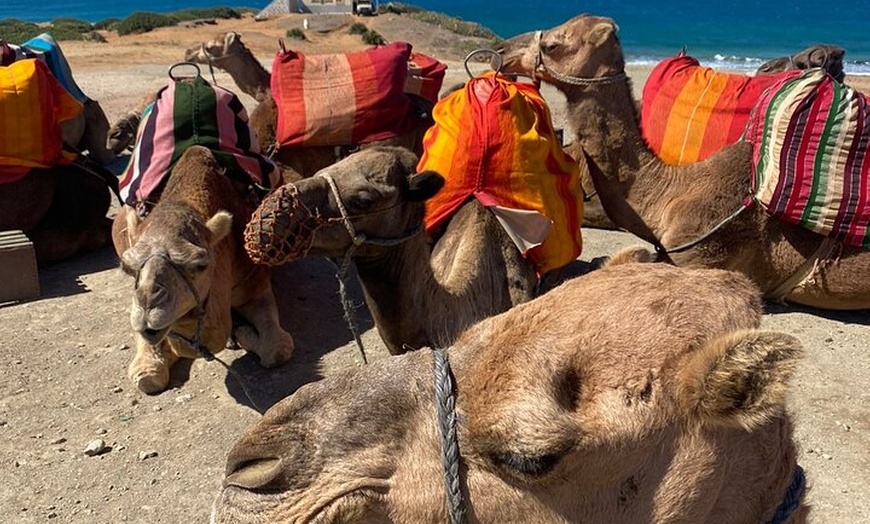 Image 9: Excursión privada de un día a Tánger desde Estepona Todo incluido vip