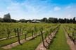 Hamptons, Sag Harbor & Outlet Shopping, 1-Day Tour from NYC - Second Medium