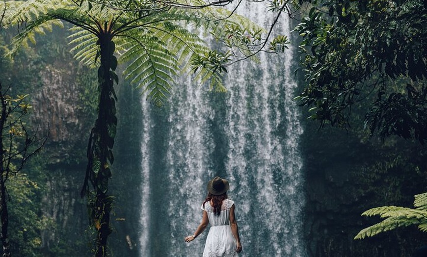 Image 23: East Coast Australia 16 Day Comfort Tour from Sydney to Daintree