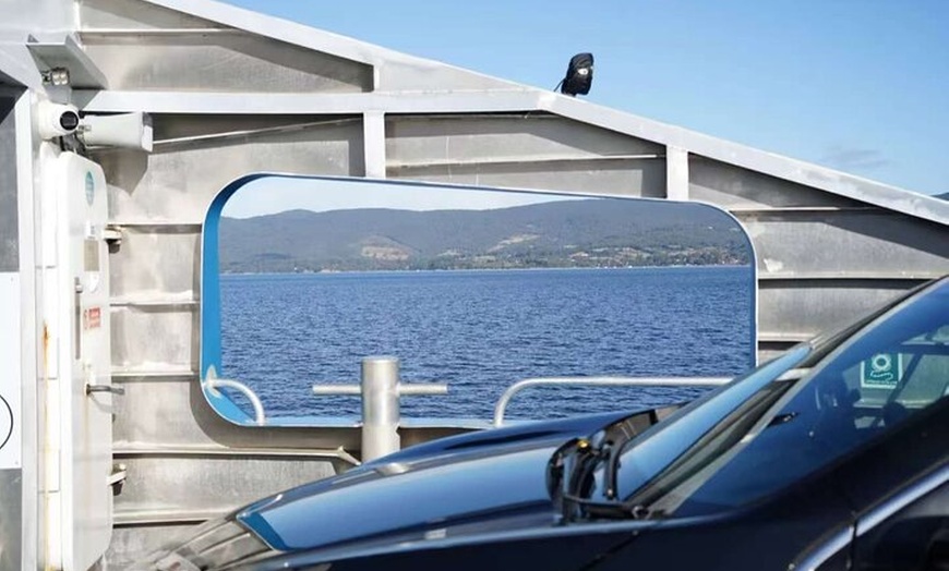 Image 4: Bruny Island Food & Wildlife Guided Tour with Coastal Views