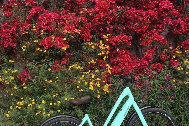 Carmel-By-The-Sea Electric Bike Guided Tour