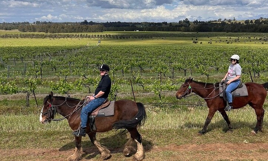 Image 1: Hunter Valley Horse Ride - 90 Minutes -Vineyard & Mountain Views