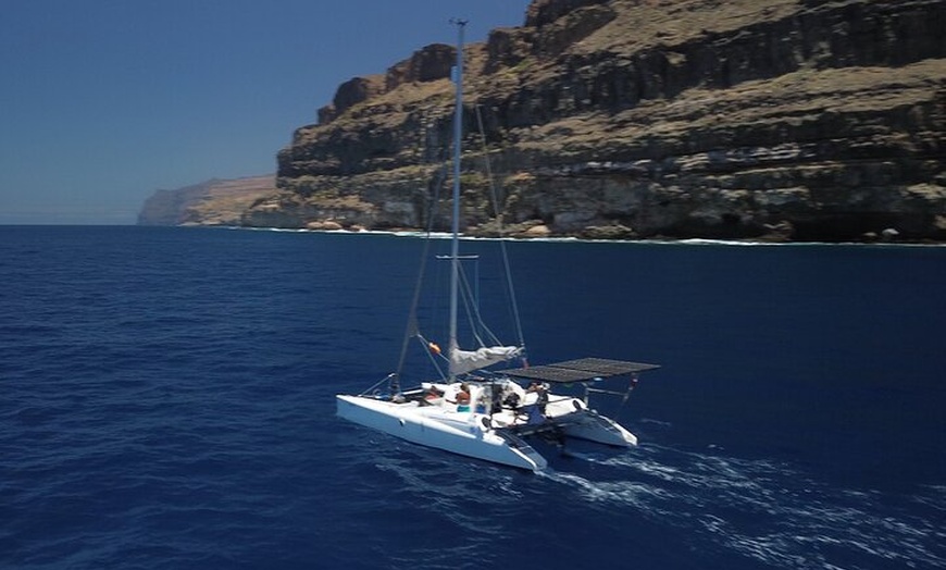 Image 22: Excursiones ecológicas en Catamarán en Gran Canaria