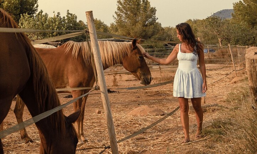 Image 14: Ibiza: Experiencia privada de naturaleza a caballo