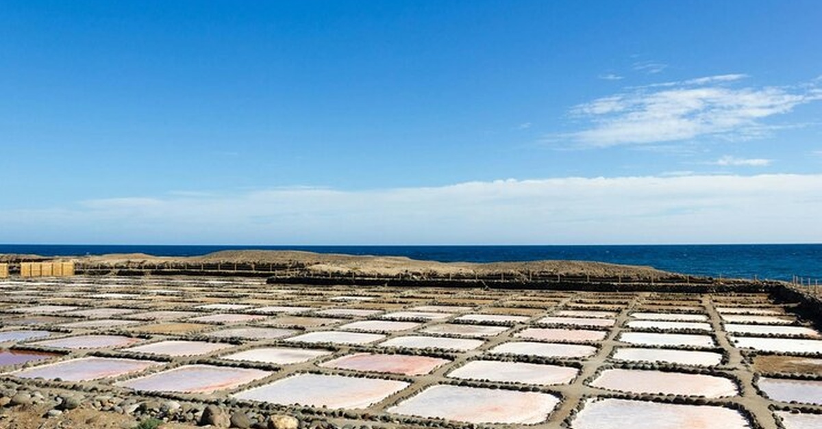 Visita a una destilería con degustaciones en Las Palmas