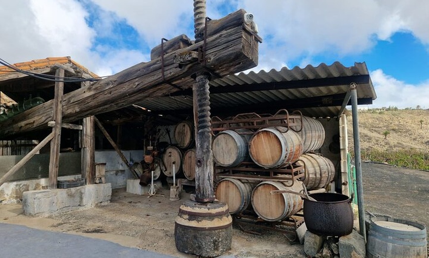 Image 6: Gran Canaria Premium Tour: Volcanes y Vino para cruceristas