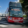 Image 3: Tour en autobús turístico por Santa Cruz de Tenerife