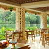 Image 4: ✈ BALI | Ubud e Kuta - Viaggio combinato Sthala Ubud e The Patra Ba...