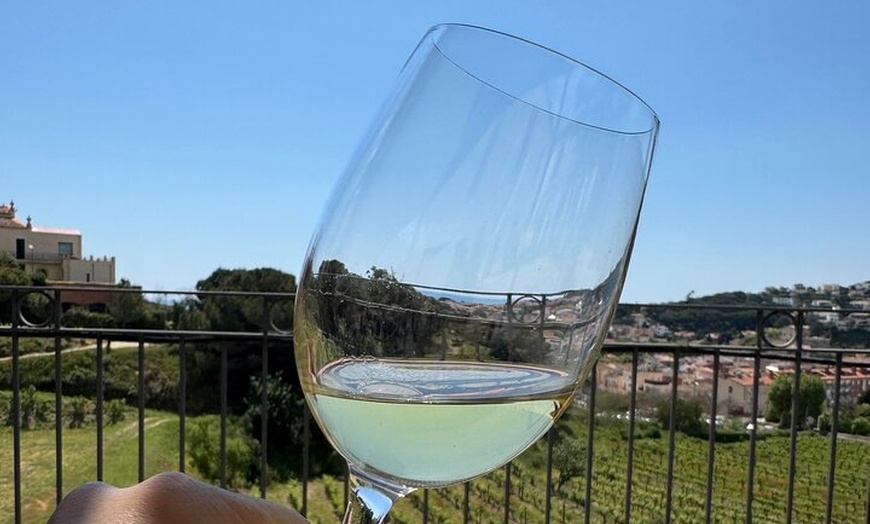 Image 19: Gaudí Unveiled & Premium Wine Escape - Tour Privado