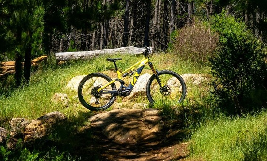 Image 5: Local Gems 3 Hour MTB Small Group Tour