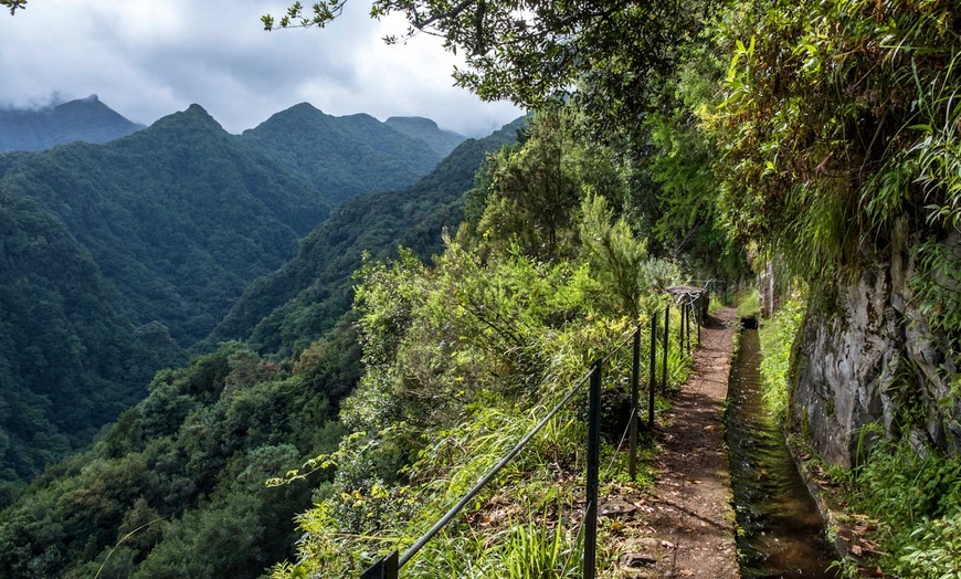 Image 15: ✈ MADÈRE | Funchal - Trek 4 randonnées & hotel Terrace Mar Suite 4*...