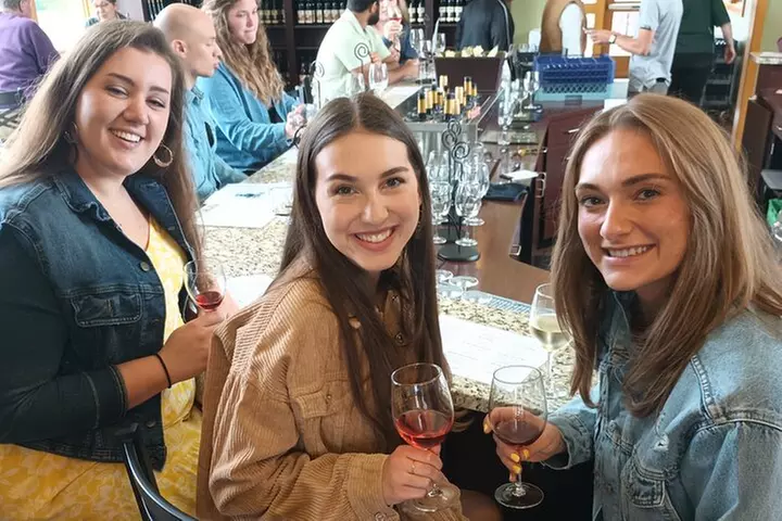 NON BUS 4 Winery Traverse City Wine Tour on Old Mission Peninsula