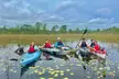 Yellow River Swamp Tour - Second Medium