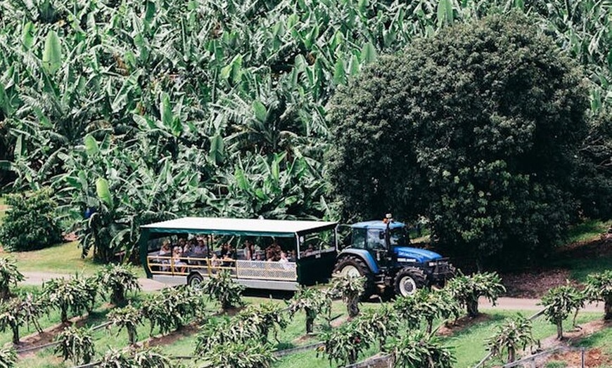 Image 8: Murwillumbah Railway Station Bike Tour Byron Bay