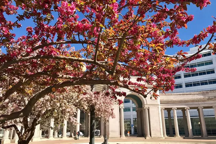 Best of Denver Walking Tour