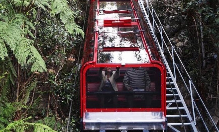 Image 5: Blue Mountains Mercedes Tour: Cockatoos, Cascades & Scenic World