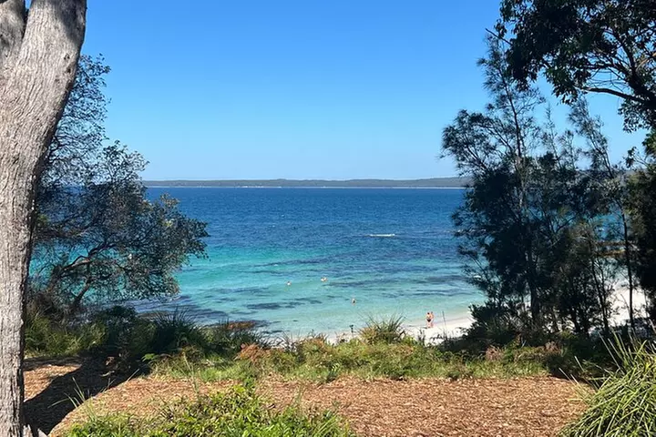 Jervis Bay Private Tour & Pick up & Drop off - Primary Image