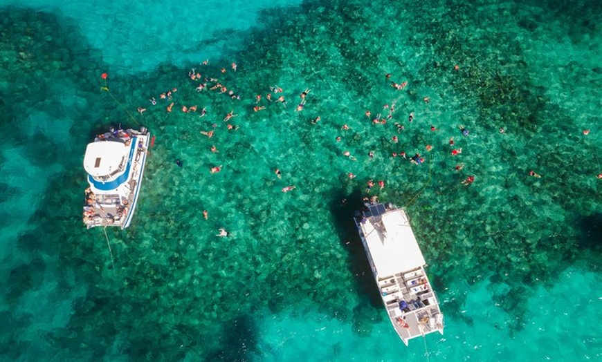 Image 9: Rose Island Snorkeling, Lunch, Rum Punch and Swimming Pigs