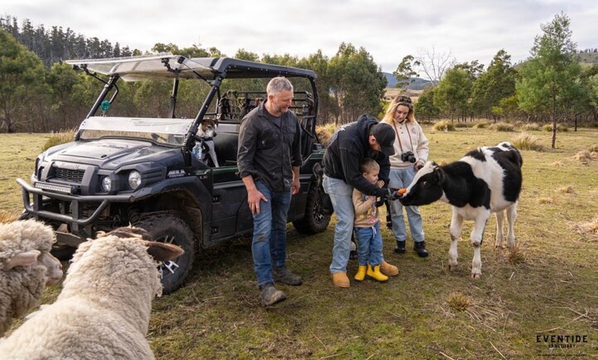 Image 2: Eventide Sanctuary Farm Tours and Richmond Old Town