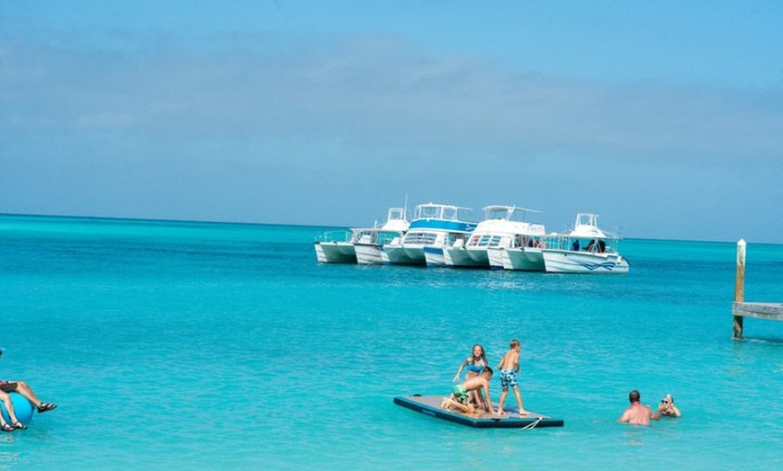 Image 5: Rose Island Snorkeling, Beach Day with Unlimited Rum Punch