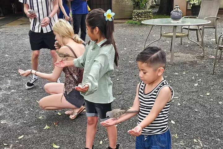 Byodo In Temple, Waimea Botanical Garden-Waterfall: Includes Fees