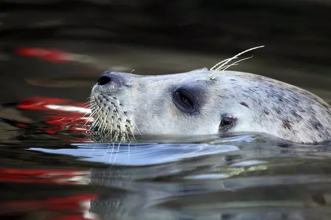 General Admission - Oregon Coast Aquarium - Primary Image