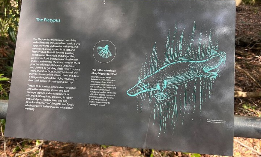 Image 11: Sydney South Coast and Highlands Private Tour