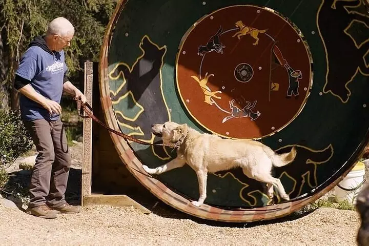 Husky Homestead Tour