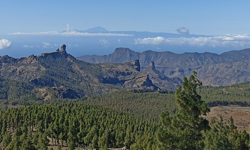 Image 1: Gran Canaria Premium Tour: Volcanes y Vino para cruceristas