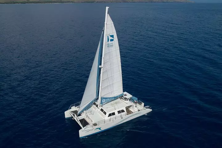 Experience Shared Snorkel and Sunset Sail in Maui - Primary Image