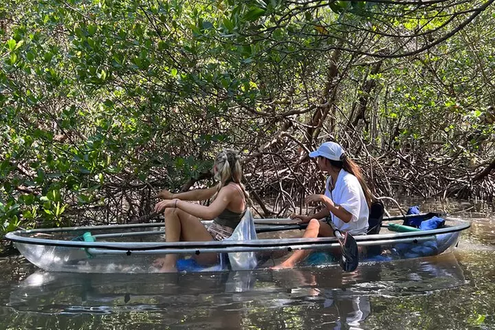 Clear Kayak Guided Eco Tour in North Naples