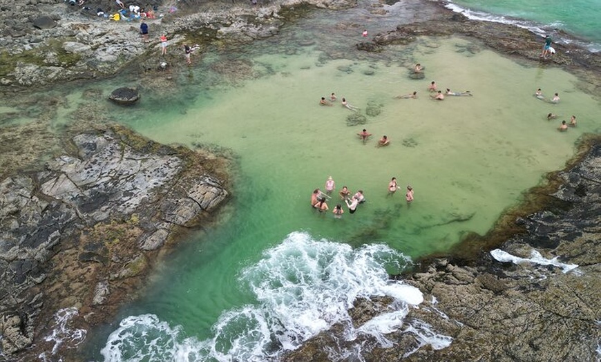 Image 19: Dingos 2 Day K'Gari (Fraser Island) 4WD Tag-Along Tour