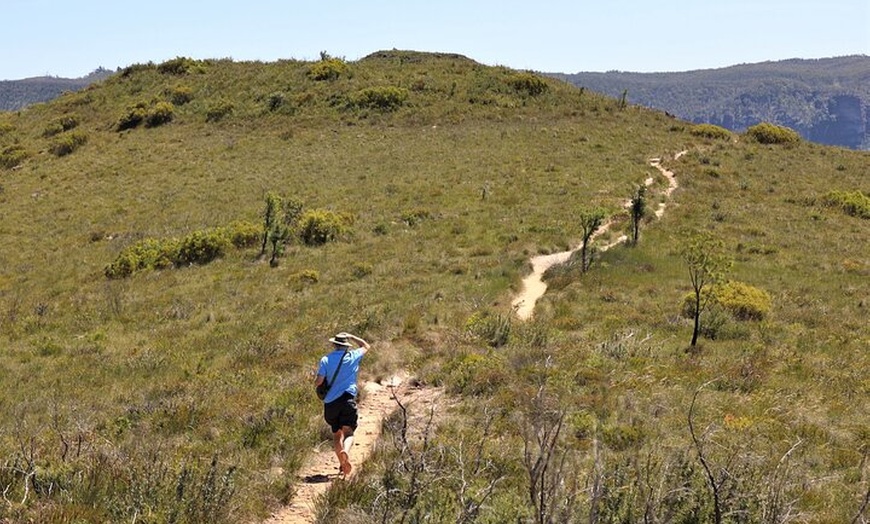 Image 35: Blue Mountains Private Tour