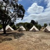 Image 9: Adelaide: Kangaroo Island 2-Day Epic Adventure Small Group tour