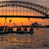Image 5: Sunrise Serenity Kayak Tour of Sydney Harbour