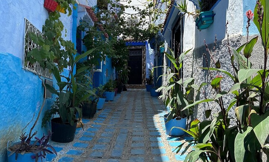 Image 17: Excursión privada de un día desde Costa Del Sol a Chefchaouen todo ...